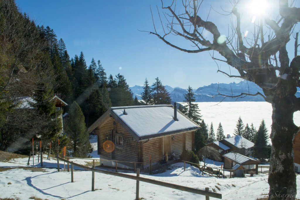 @abhishek sharma @abhishek sharma